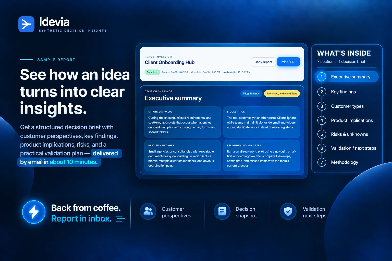 Idevia sample decision brief showing an executive summary, findings, risks, and next steps